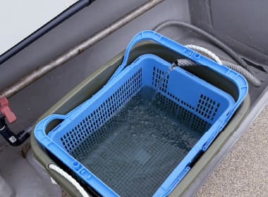 夜焚き用個人イケス完備