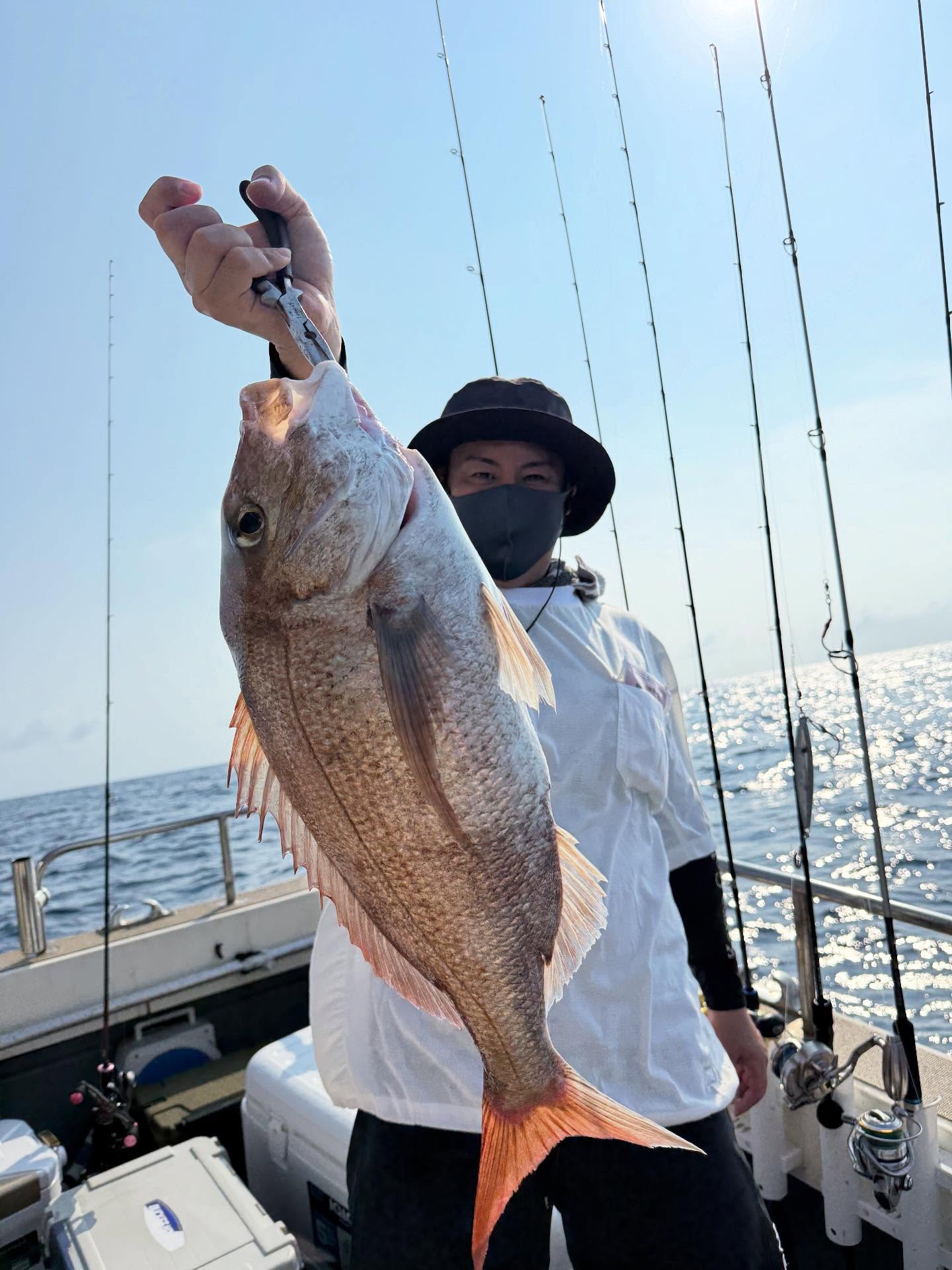 先日の初七里釣行中々行く機会がなかった七里朝は中々の時化が残り片道3時間🥶途中豪雨と雷雨の中何とか到着ポテンシャルは流石デカい根魚やタイカツオシーズン合間って、ポロポロカツオも釣れるし是非行きたいフィールドでした今から魚もどんどん活性上がっていくと思います根魚やタイ、ジギングでヒラマサなど是非皆様の挑戦お待ちしております以下料金イメージ通常、15,000円（小呂島、鳥帽子）まで　　　16,000円〜17,000円（壱岐東側、小呂島北部）まで　　　18,000円（壱岐全般、沖の島）まで当日や前日に行き先のご相談もさせて頂く事もあるかと思いますが、最善を尽くしますのでご理解頂けたらと思います事前にここまで行ってほしい️などのご相談も可能ですのでお気軽にお問い合わせください#遊漁船#遊漁船DAIYA#福岡#博多#箱崎漁港#釣り#釣り好き#イカメタル#夜焚き#タイラバ#SLJ#釣り好きと繋がりたい#ジギング#釣りガール#釣りガールと繋がりたい#太刀魚#タイ #ブリ #ヒラマサ #根魚 #アコウ