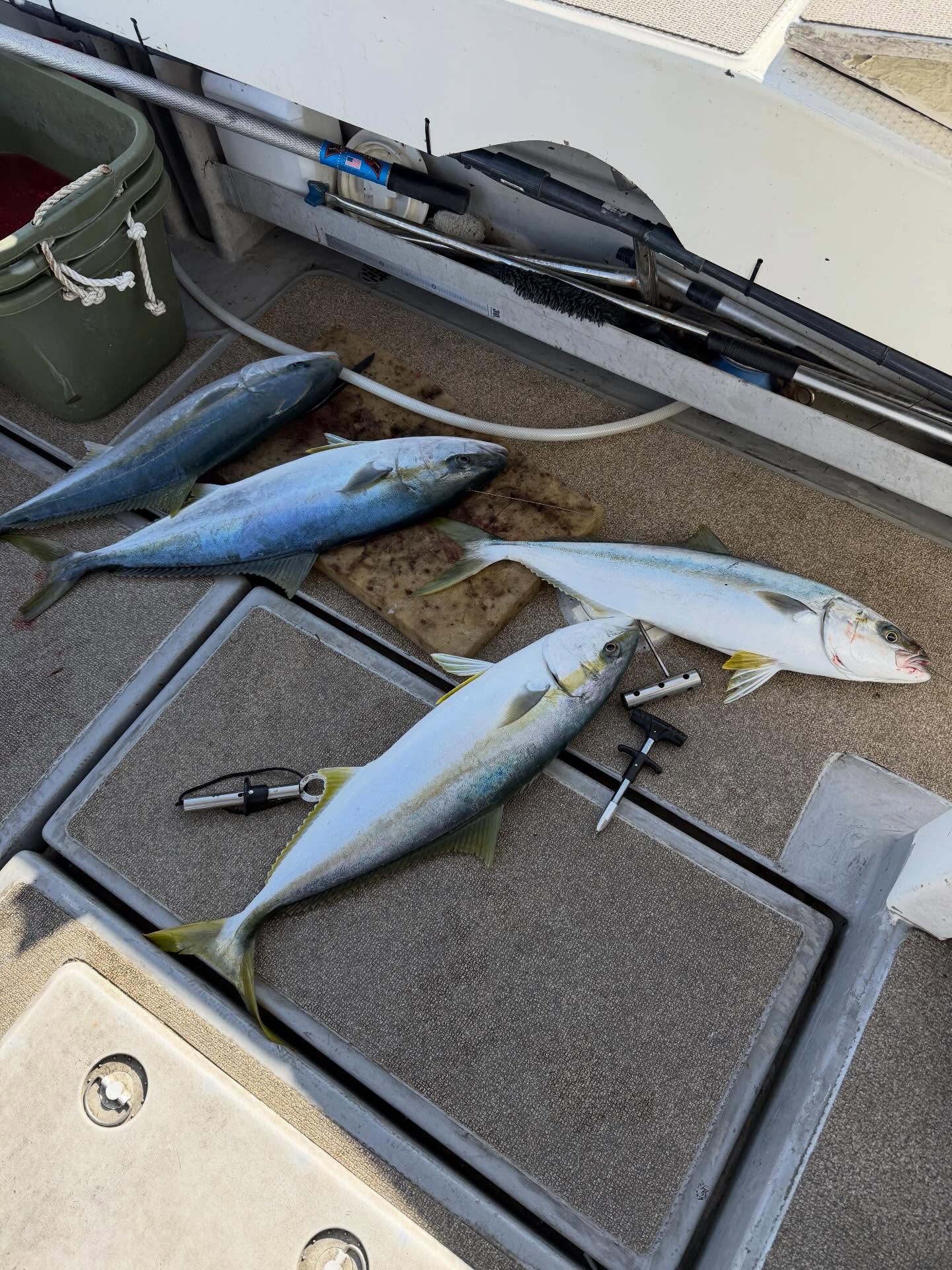 １月３０日　ジギング便気合い入れて勝本スタート️まー渋い🥶知り得る場所叩きまくって何とか青物発見ラストバタバタと釣れて何とかなりました🫡最後まで諦めずに頑張って頂きありがとうございました最後デカいやつバラシが痛かった🥶リベンジお待ちしてます🤣#遊漁船#遊漁船DAIYA#福岡#釣り好きと繋がりたい